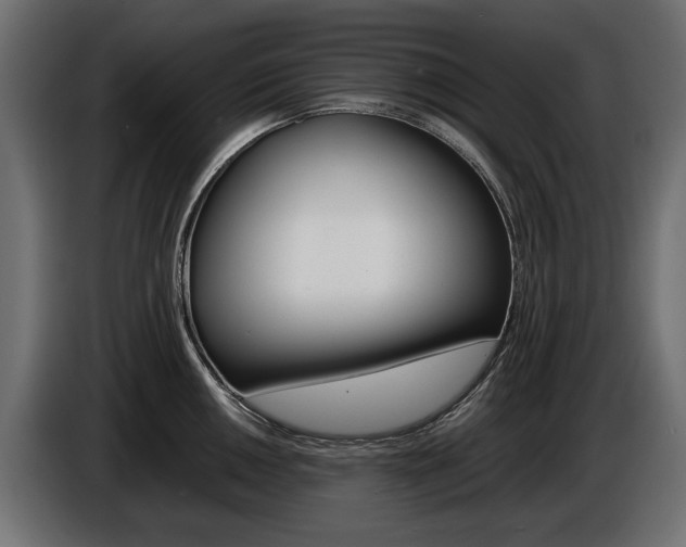 X0000086961050200704161119