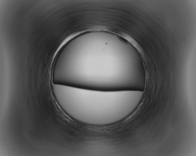 X0000086961052200704161119