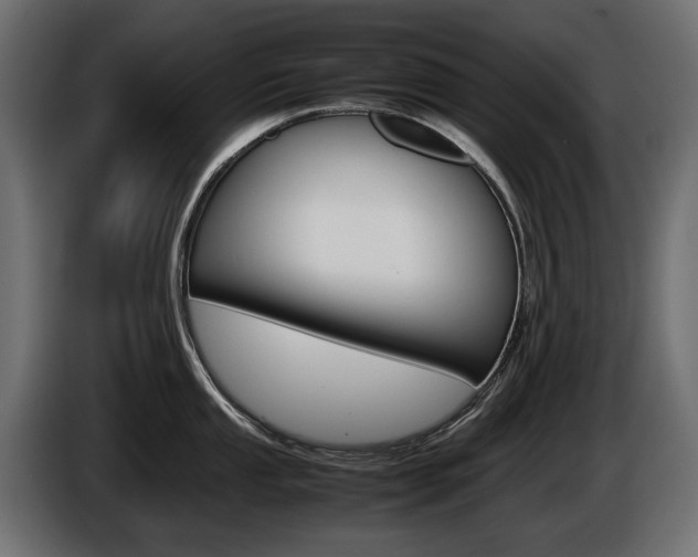 X0000086961053200704161119