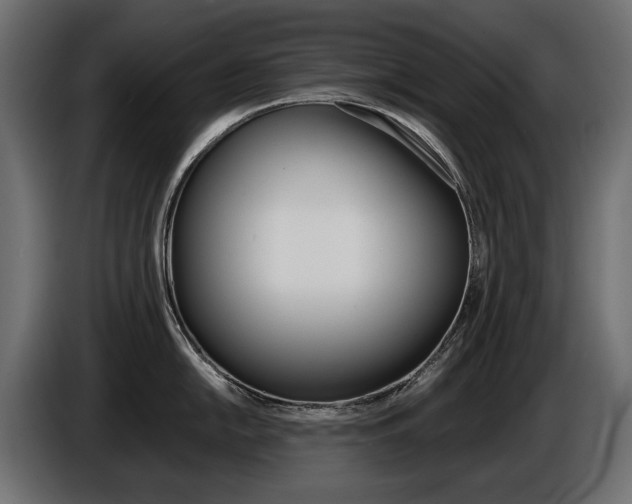 X0000086961054200704161119