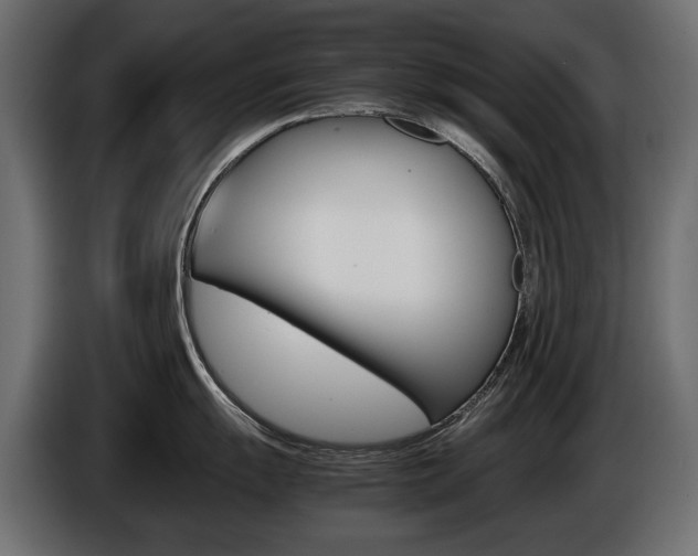 X0000086961055200704161119