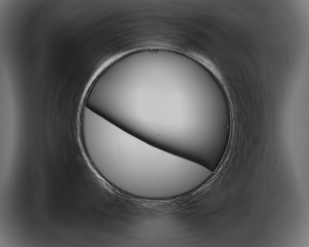 X0000086961056200704161120