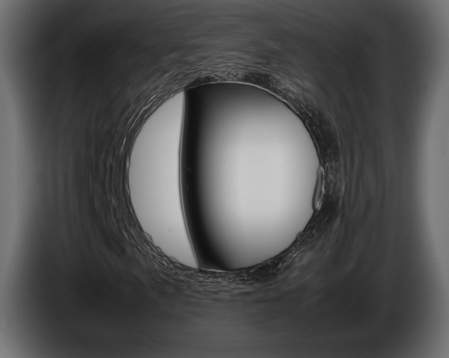 X0000086961057200704161119