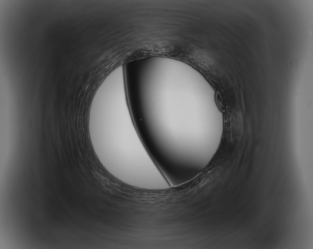 X0000086961058200704161119