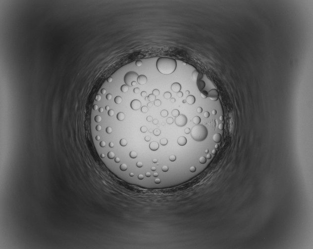 X0000086961059200704161119
