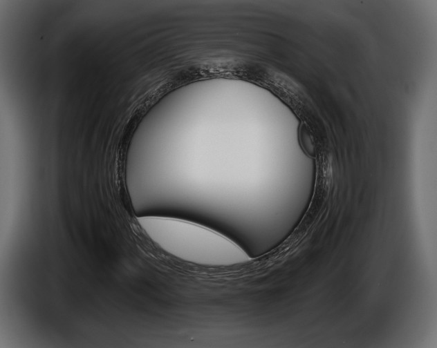 X0000086961060200704161119