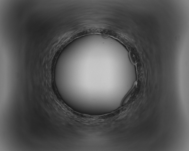 X0000086961061200704161119