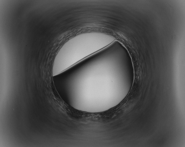 X0000086961062200704161119
