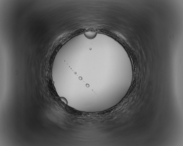 X0000086961063200704161119