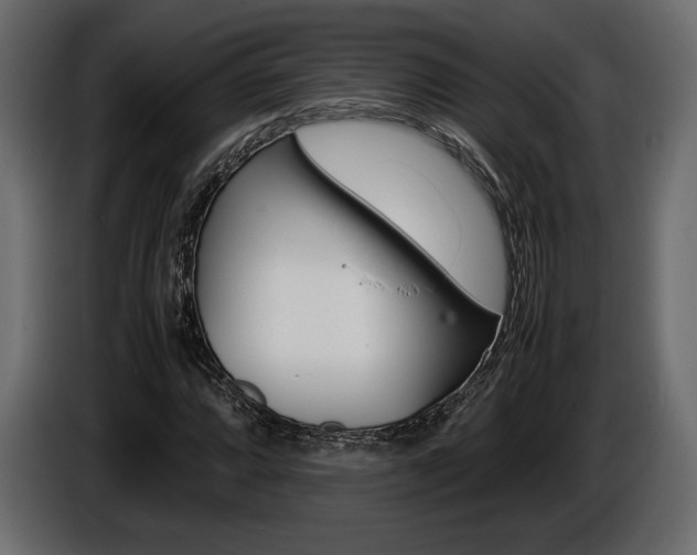X0000086961064200704161119