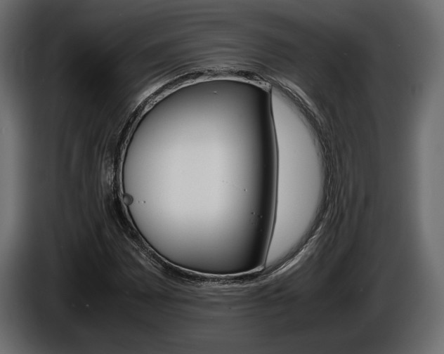X0000086961065200704161119