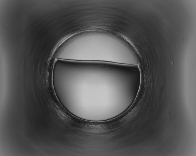 X0000086961066200704161119