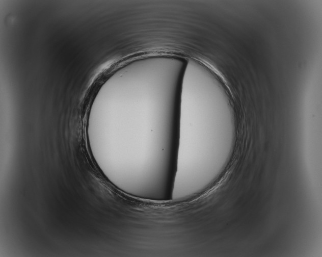X0000086961067200704161119