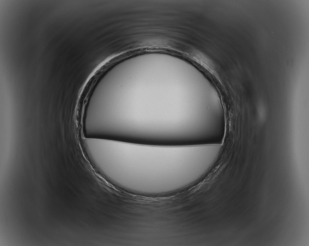 X0000086961068200704161119
