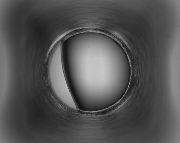 X0000086961069200704161119