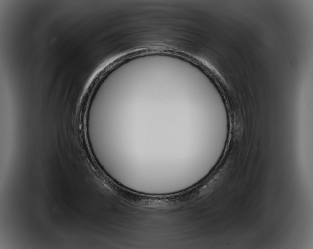 X0000086961070200704161119