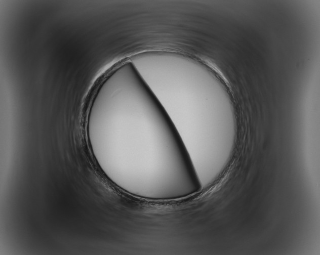 X0000086961071200704161119