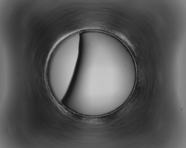 X0000086961072200704161119
