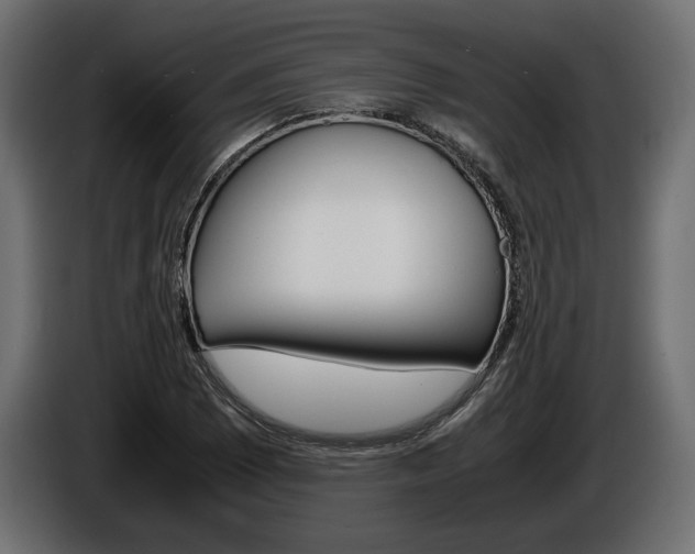 X0000086961073200704161119
