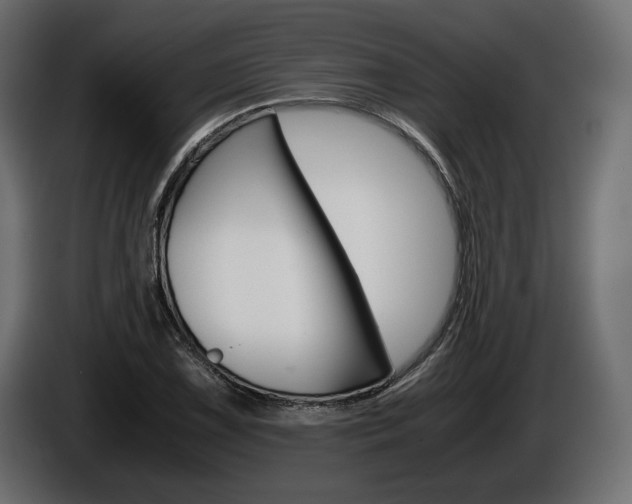 X0000086961075200704161119