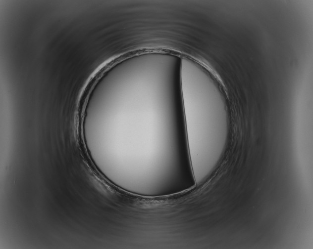 X0000086961076200704161119