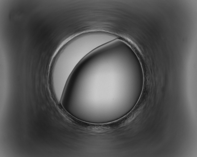 X0000086961077200704161119