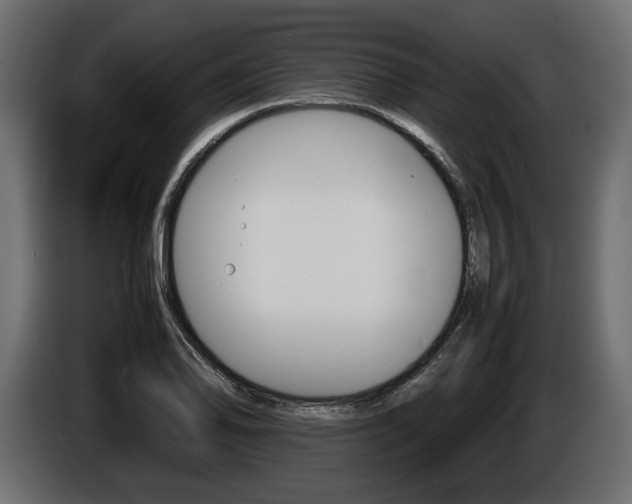X0000086961078200704161119