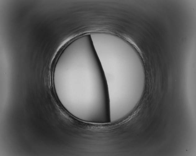 X0000086961079200704161119