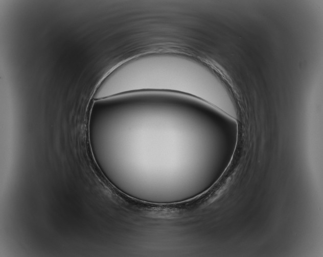 X0000086961081200704161118