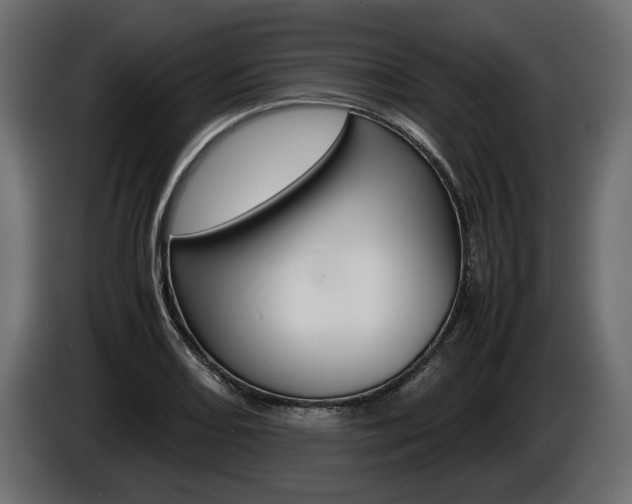 X0000086961082200704161118