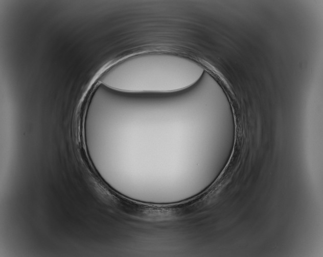 X0000086961083200704161118