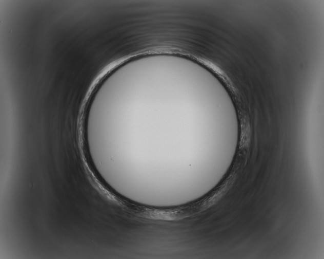 X0000086961086200704161118