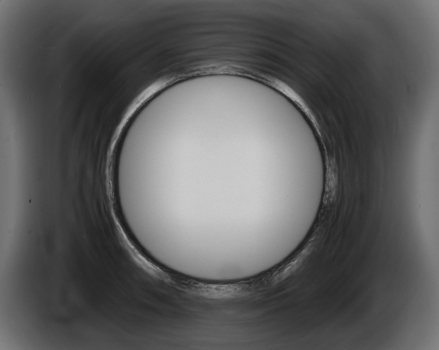 X0000086961090200704161118