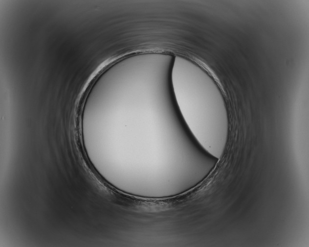 X0000086961091200704161118