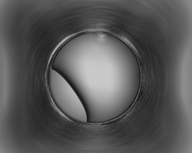 X0000086961092200704161118
