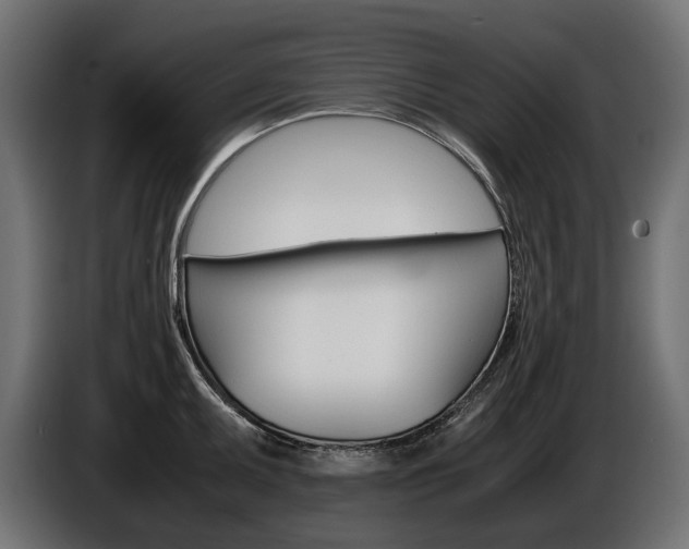 X0000086961095200704161118