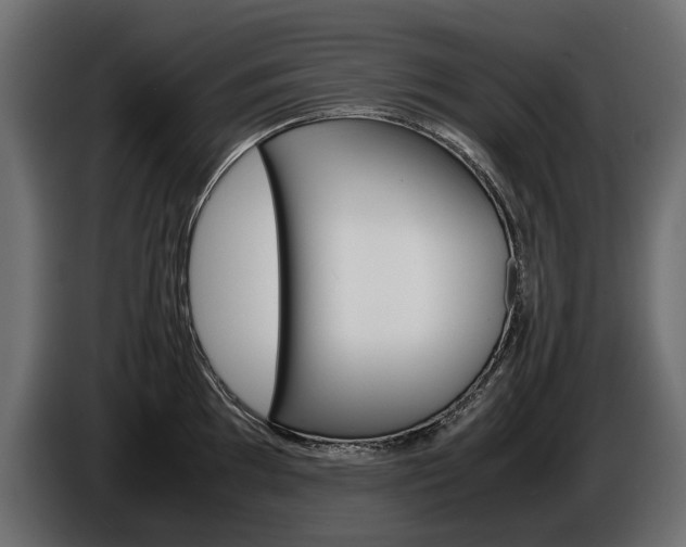 X0000086961097200704161118