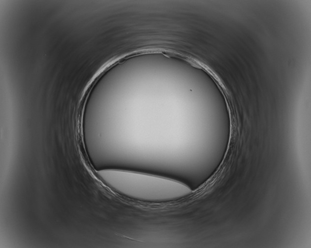 X0000086961101200704161118