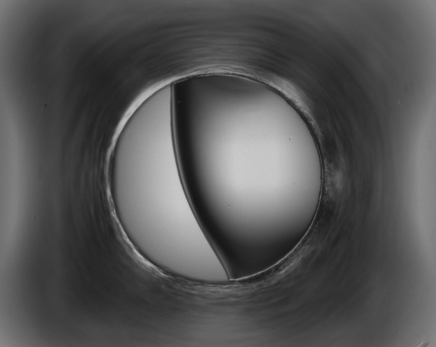X0000086961102200704161118