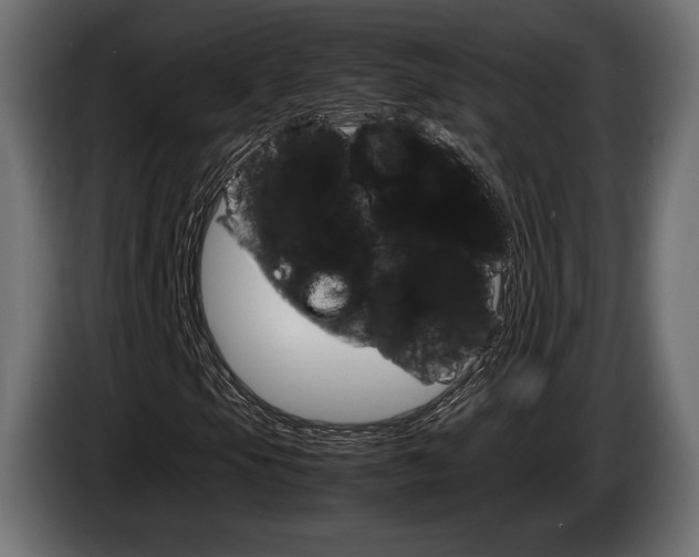 X0000086961105200704161117