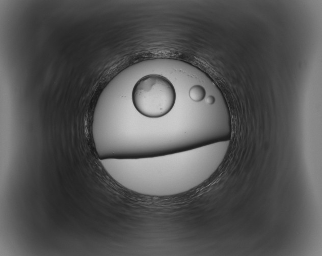 X0000086961106200704161117
