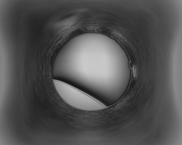 X0000086961107200704161118