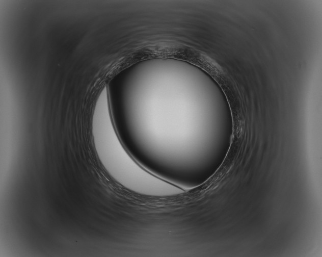 X0000086961108200704161118