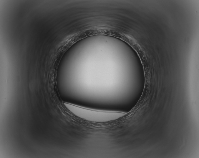 X0000086961110200704161118