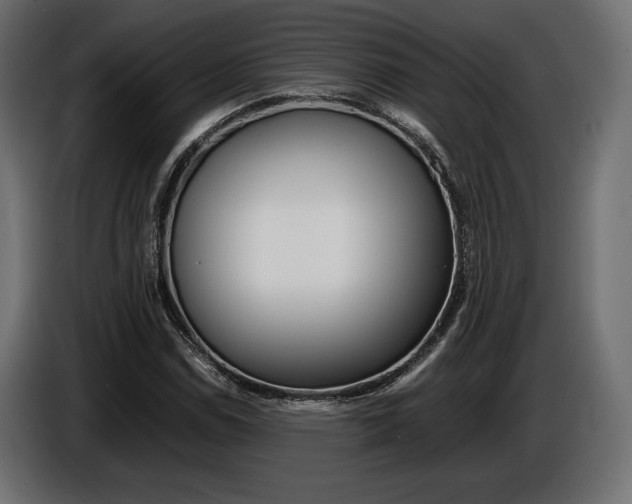 X0000086961114200704161118
