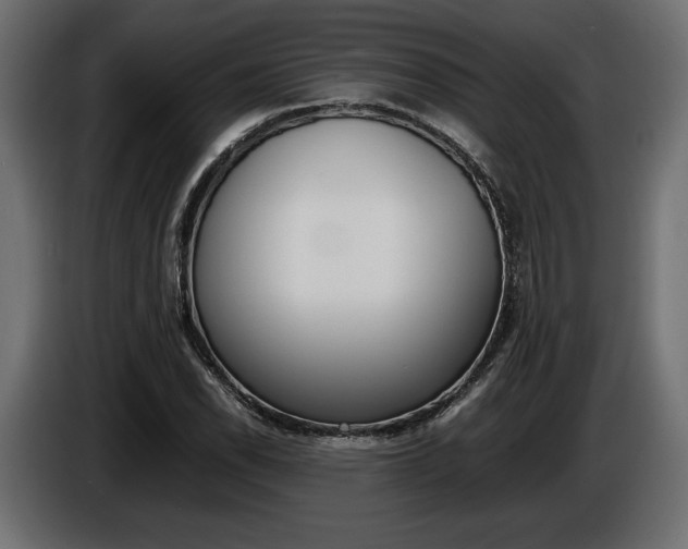 X0000086961118200704161118