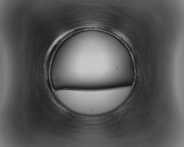X0000086961120200704161118