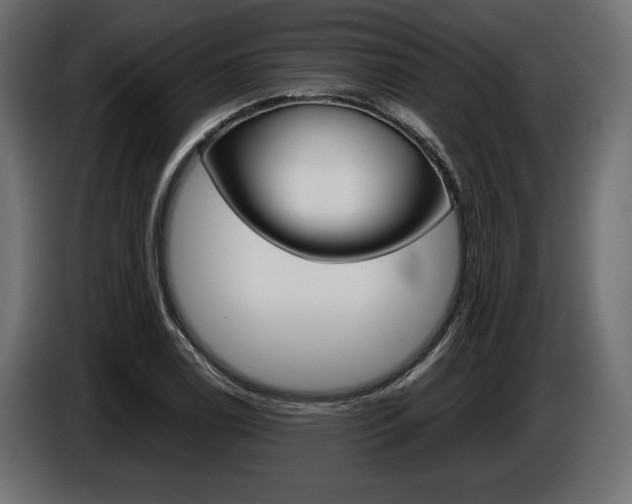 X0000086961122200704161118