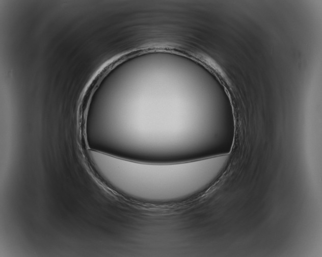 X0000086961124200704161118