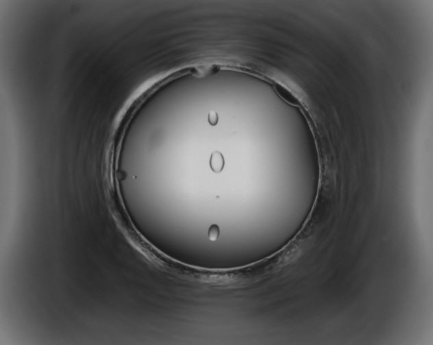X0000086961128200704161118